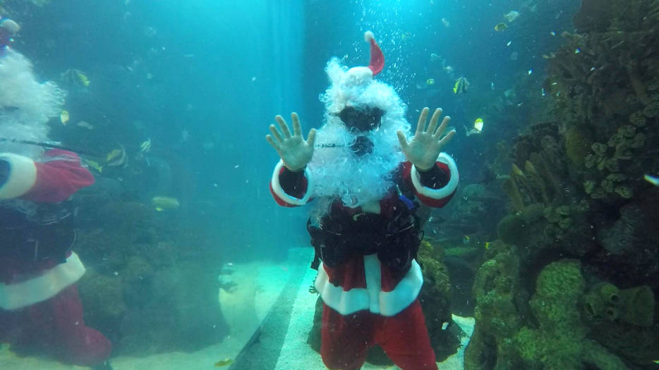 17-12-205. Papá Noel se sumerge en el Oceanogràfic de Valencia.