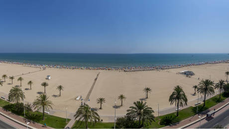 Foto: Ayuntamiento de Gandia