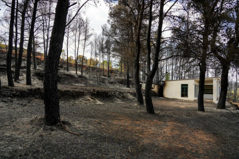 Incendio de Bejís