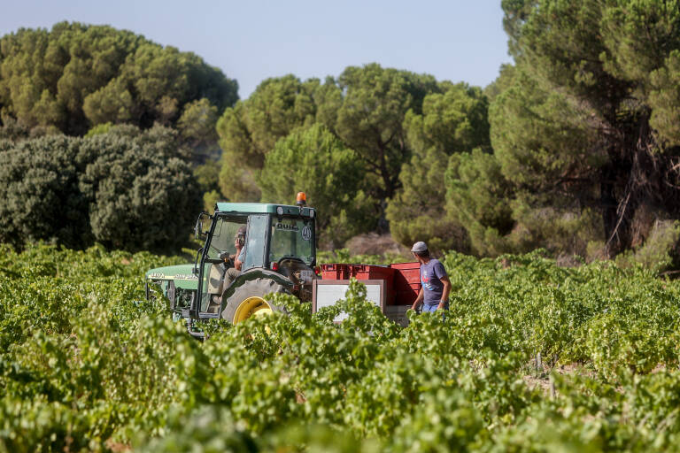 Agricultura, inflación