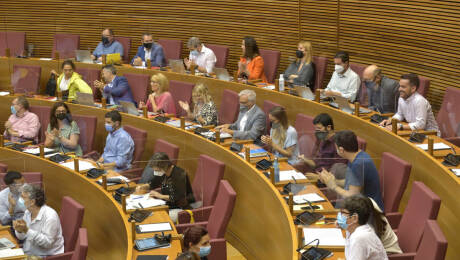 El Botànic pierde calidad en Les Corts