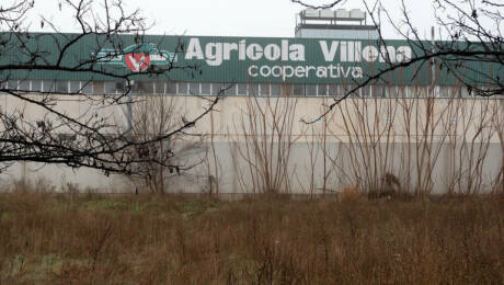 Instalaciones de Agrícola Villena en la localidad alicantina, en una imagen de archivo.