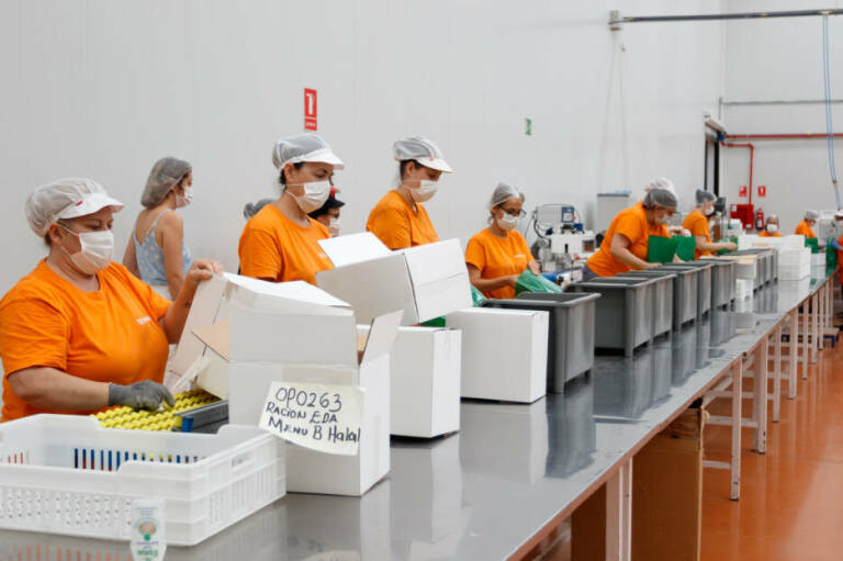 Trabajadoras de Jomipsa en imagen de archivo.