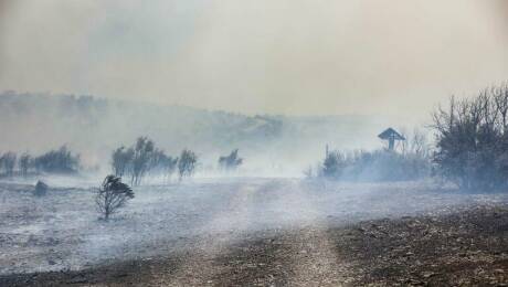 Foto: Rober Solsona/ EP