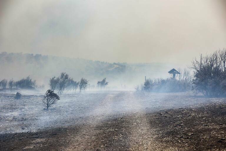 Foto: Rober Solsona/ EP