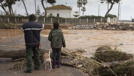 Foto: DOMÉNECH CASTELLÓ (EFE)