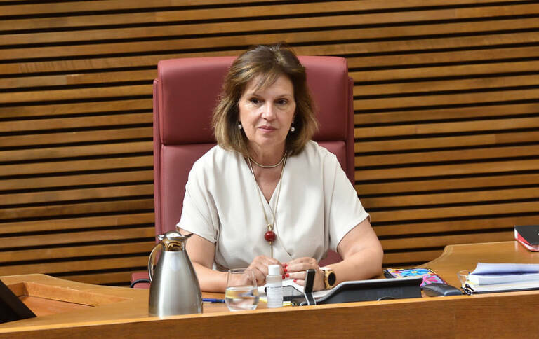 Carmen Martínez, portavoz adjunta en el PSPV de Les Corts. Foto: VP