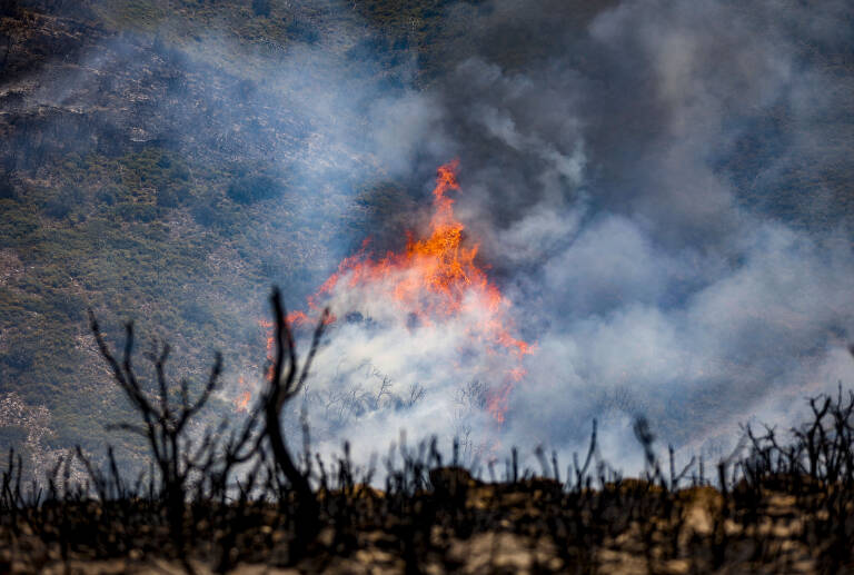 Foto: ROBER SOLSONA/EP