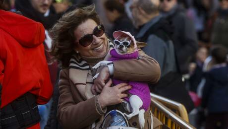 Sant Antoni Bendición animales Valencia