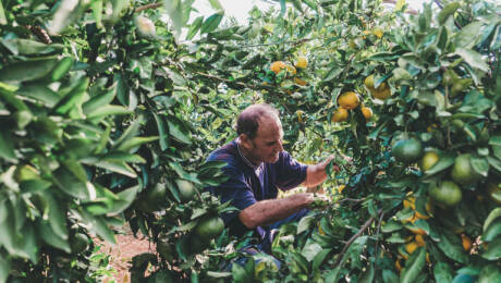 Foto: BORJA ABARGUES