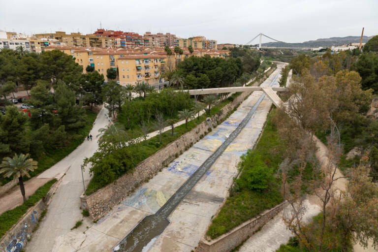 rehabilitacion incosa rata porfirio pascual elche