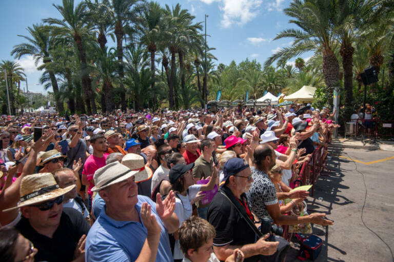 fiestas elche 2024