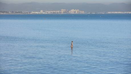 Foto: ROBER SOLSONA/EP