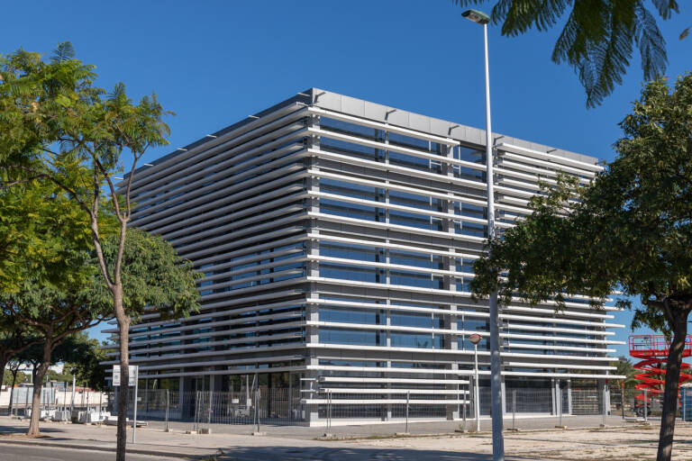 Elche campus tecnológico koala bay