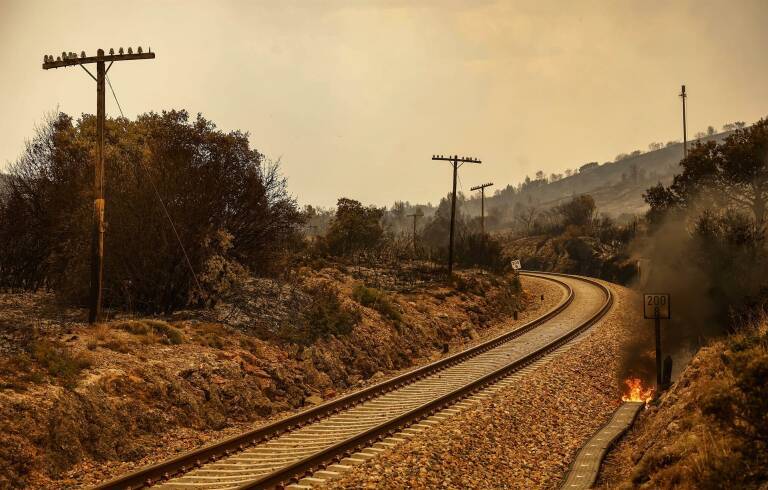 Foto: ROBER SOLSONA/EP