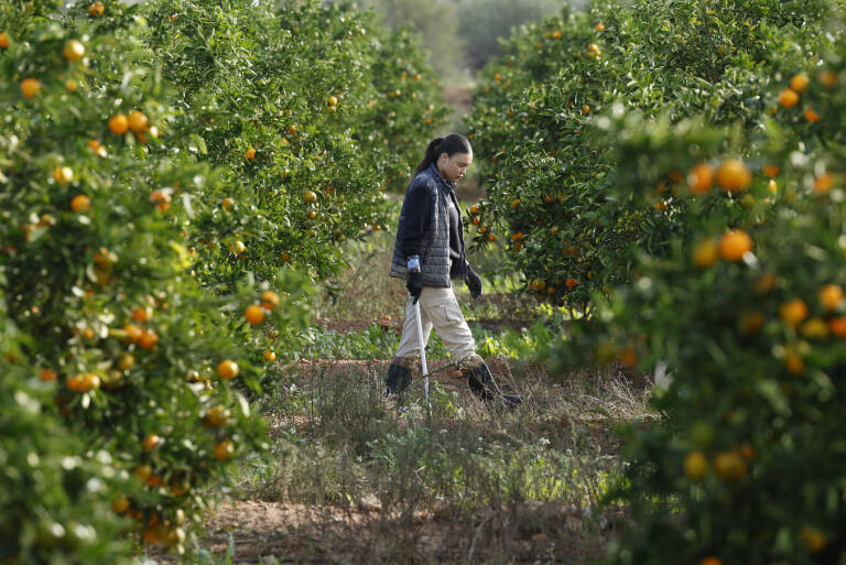 Foto: EFE/JORGE ZAPATA