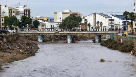 Foto: EFE/BIEL ALIÑO