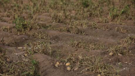 Foto: ROBER SOLSONA/EP