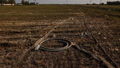 Foto: ROBER SOLSONA/EP