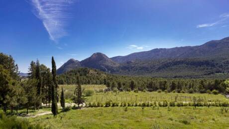 Sierra Espuña. Foto Marcial Guillén (EFE)