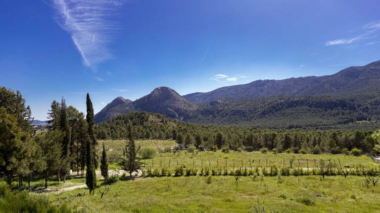 Sierra Espuña. Foto Marcial Guillén (EFE)