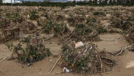 Foto: ROBER SOLSONA/EP