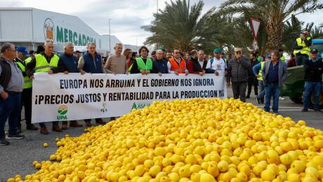 Tractorada desde San Isidro a Albatera.