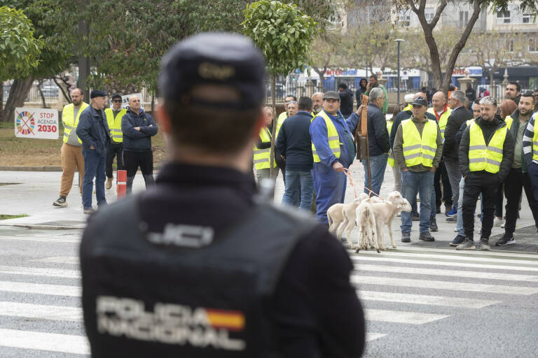 Foto: MARCIAL GUILLÉN (EFE)