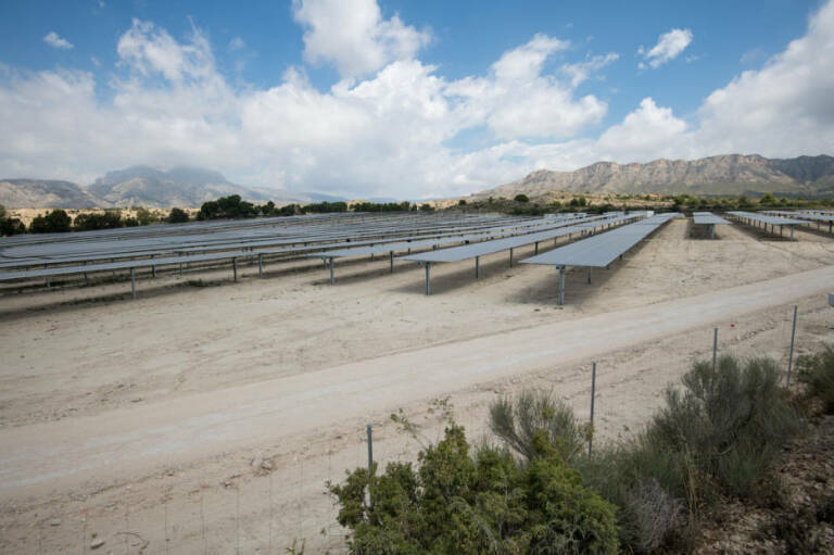 planta fotovoltaica elche permiso