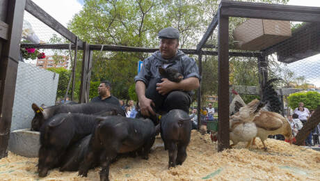 Foto: MARCIAL GUILLÉN (EFE)