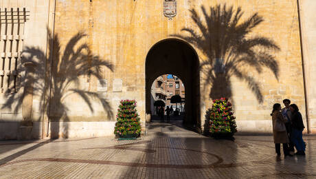 incremento elche presupuesto