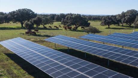 Centrales fotovoltaicas, Torrent Energy, Turís, Ribera Alta