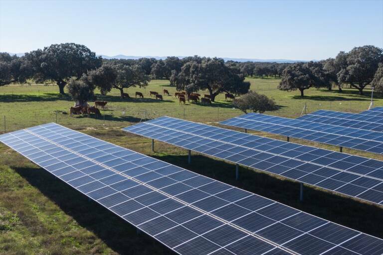 Centrales fotovoltaicas, Torrent Energy, Turís, Ribera Alta