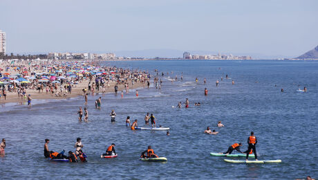 Gandia, La Safor, ocupación hotelera