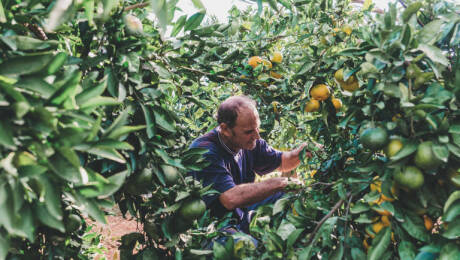 Foto: BORJA ABARGUES