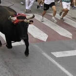 Torico de Chiva, La Hoya de Buñol