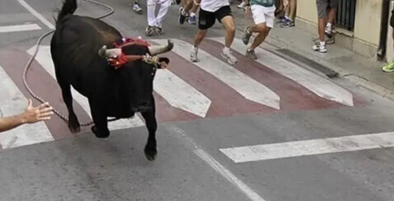 Torico de Chiva, La Hoya de Buñol