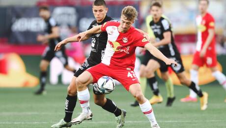 El Elche hace oficial el fichaje de David Affengruber