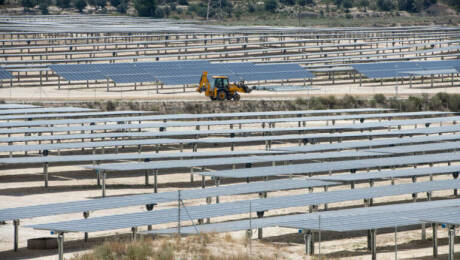 Limonero Solar, Requena