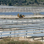 Limonero Solar, Requena