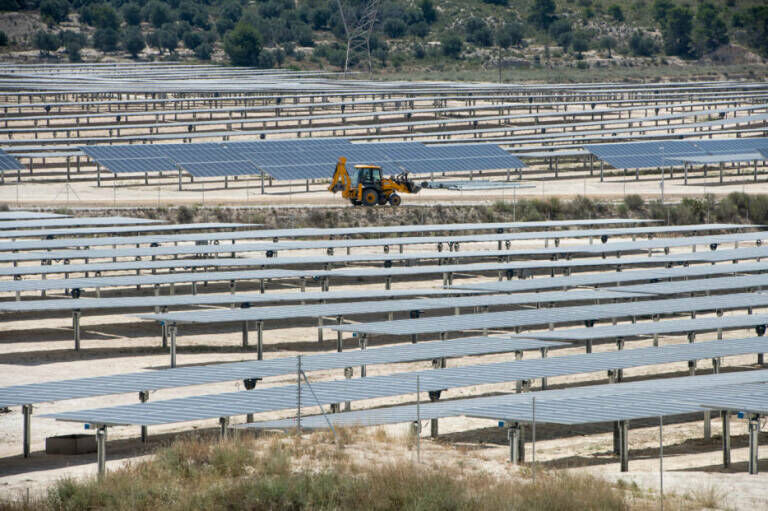 Limonero Solar, Requena