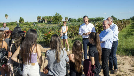 Vicent Mompó, Escuela de Capataces agrícolas, Diputación de València