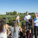 Vicent Mompó, Escuela de Capataces agrícolas, Diputación de València