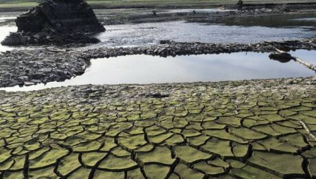 pactos por el clima, PACES, Conselleria de Medio Ambiente