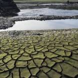 pactos por el clima, PACES, Conselleria de Medio Ambiente