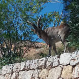 Valle de Ayora, agricultores, AVA-ASAJA