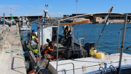 Sagunto, Camp de Morvedre, Cofradía de Pescadores Virgenes del Carmen