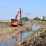 Sagunto, Camp de Morvedre, Consell Agrari