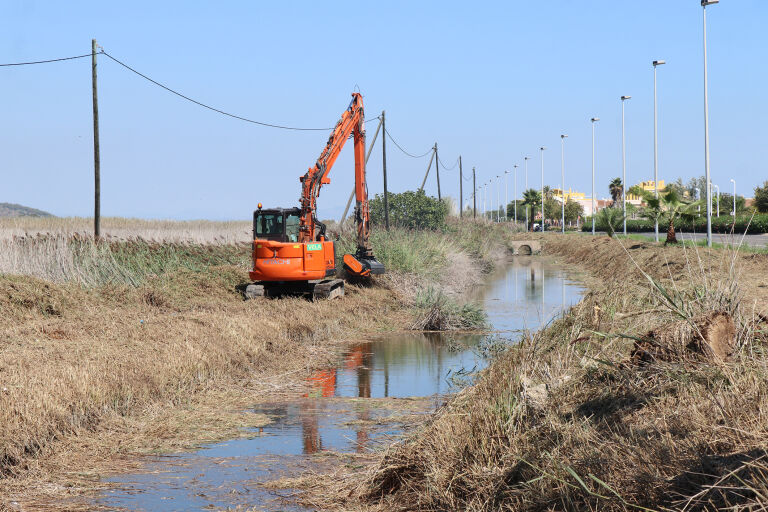 Sagunto, Camp de Morvedre, Consell Agrari