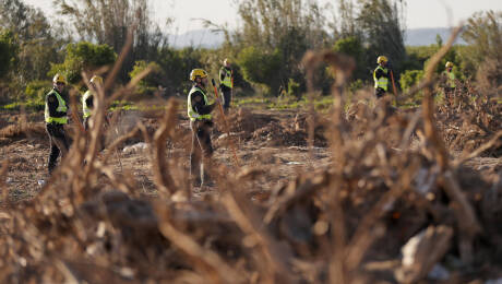 Foto: EFE/Manuel Bruque